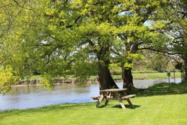 Camping Des 2 Rives- Chambres Etang-sur-Arroux エクステリア 写真